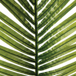 Feuille palmier artificielle H 113 cm