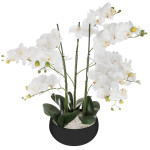 Orchidée artificielle, pot céramique noir H65 cm
