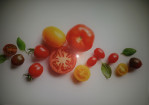 Planche à découper en verre trempé 4mm, 20x30 cm, Décor Tomates