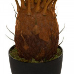 Plante Ananas artificielle en pot H 90 cm