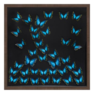 Cadre Déco Carré Papillon 3D 55cm Noir & Bleu